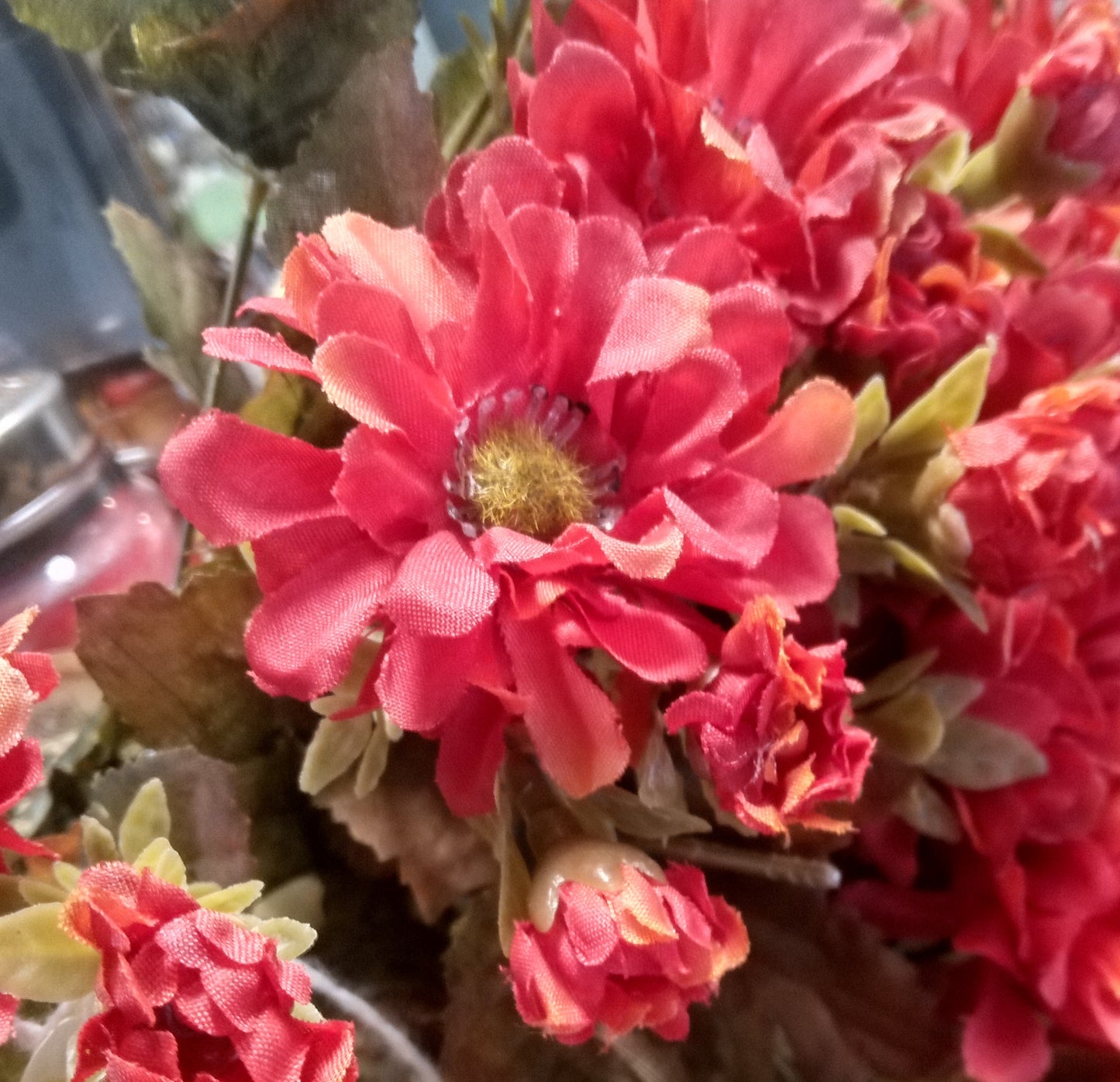 16" Zinna