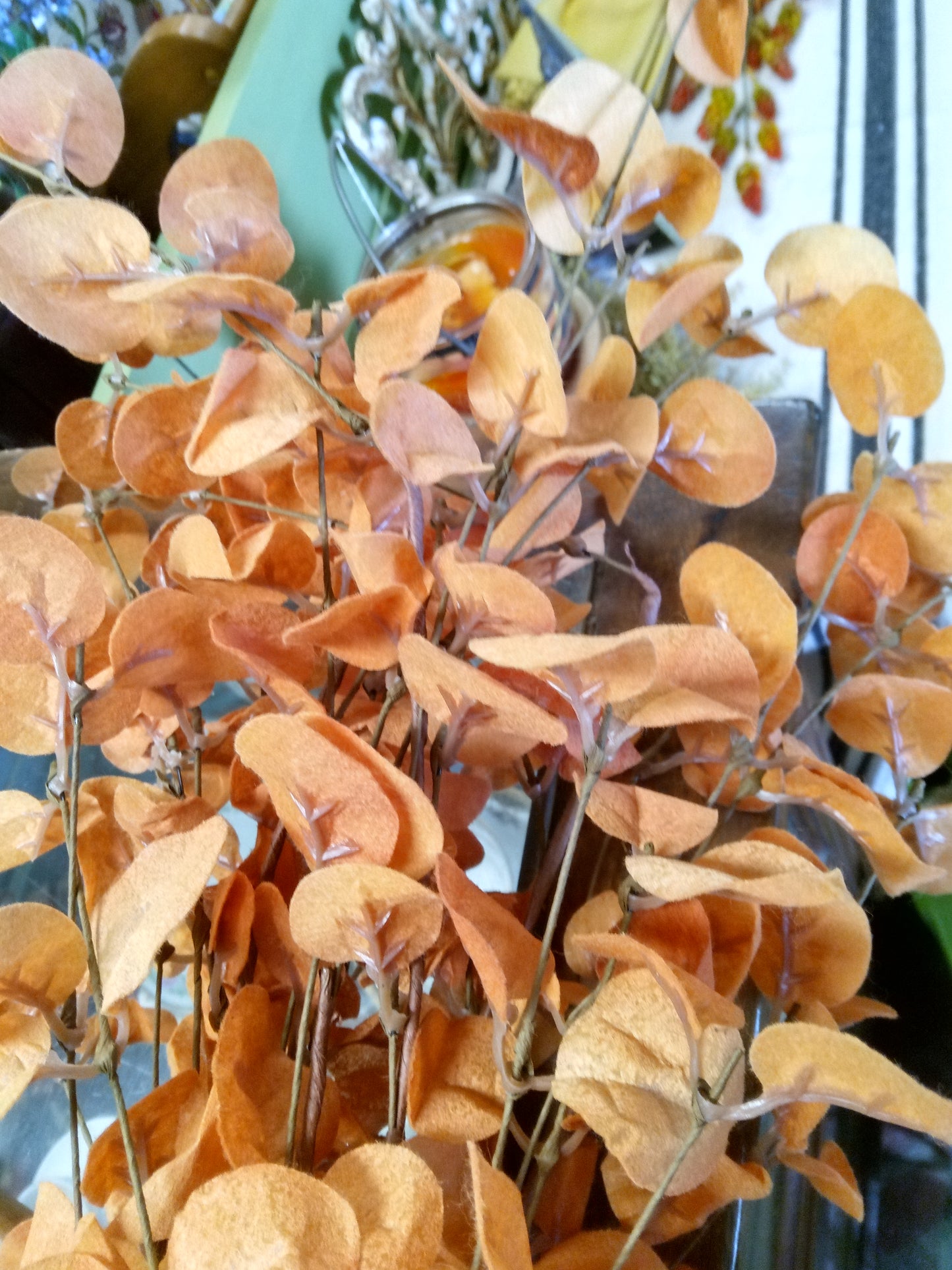 36" Eucalyptus Bundle