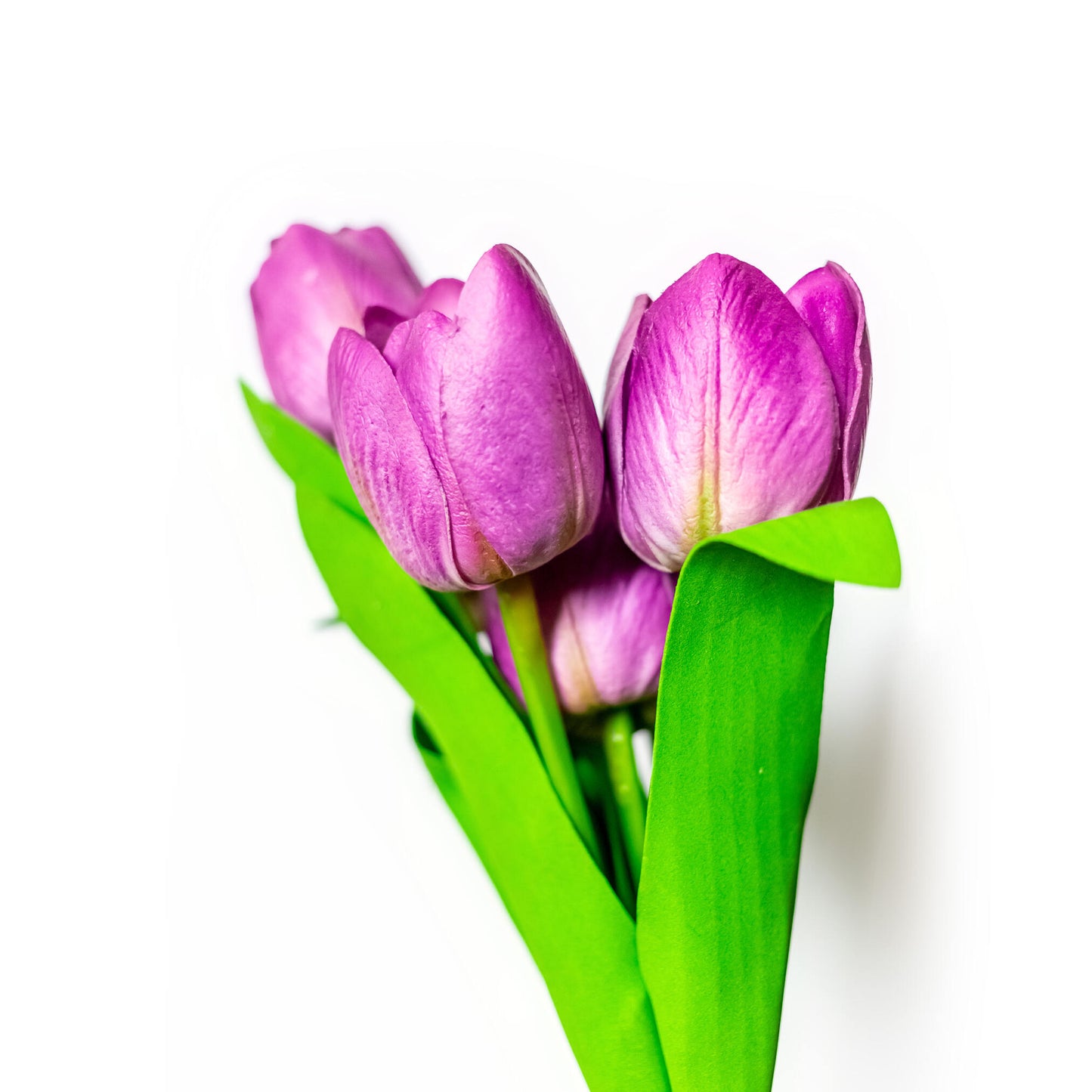 17.5" Tulip Purple