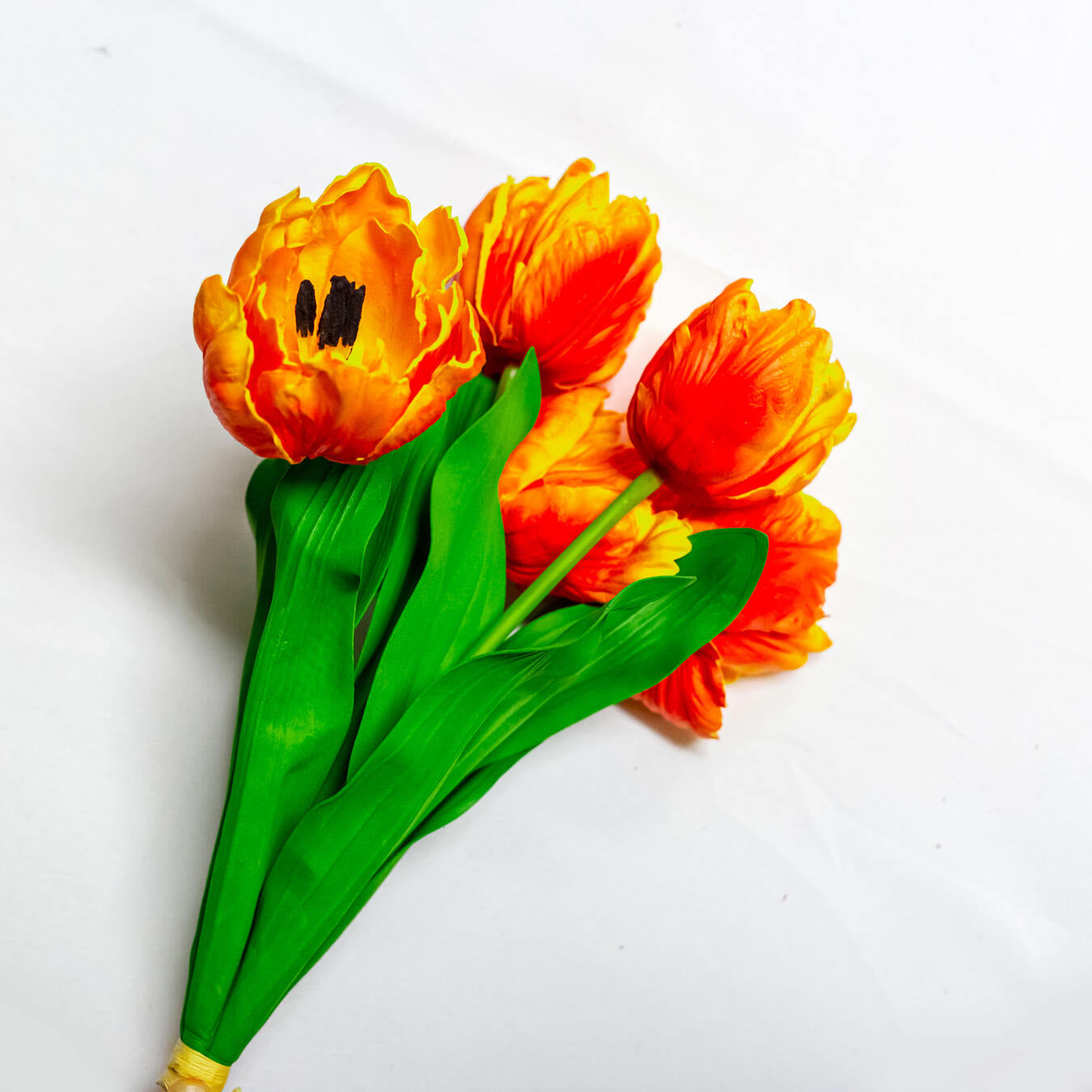 27" Parrot Tulip