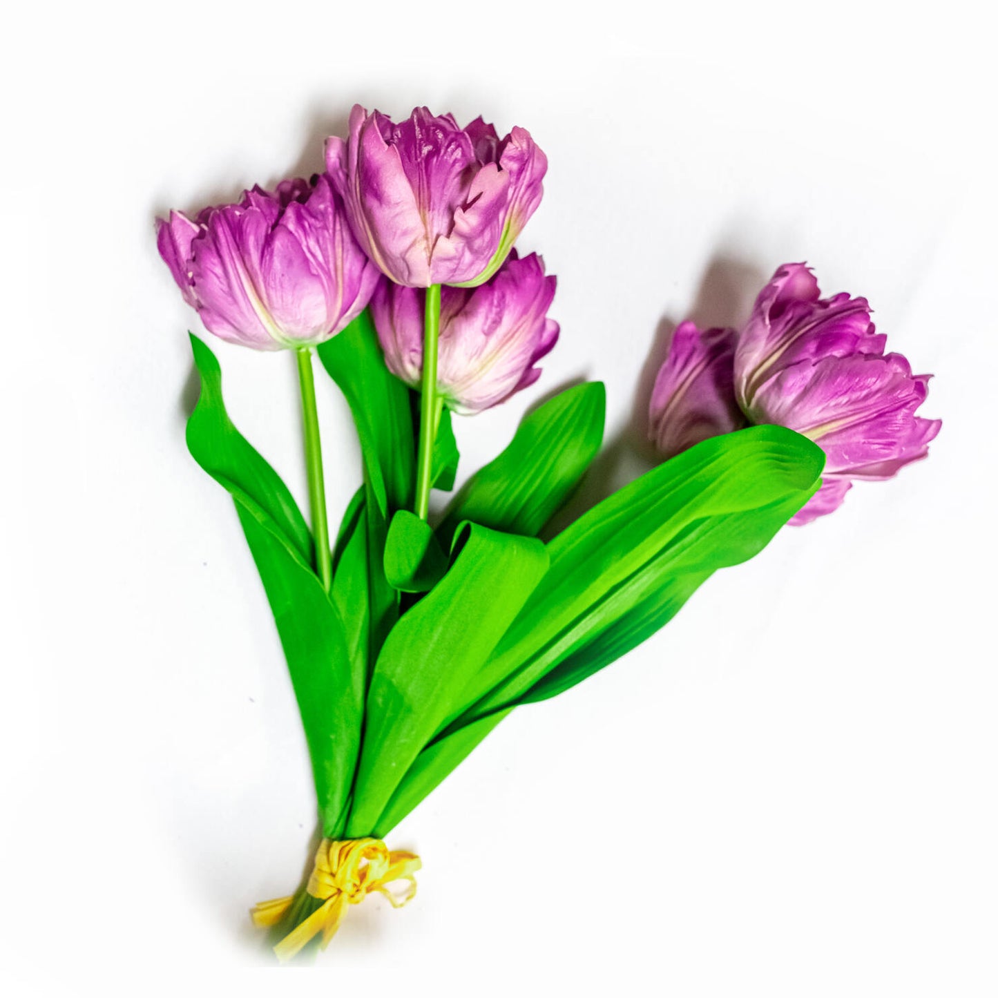 27" Parrot Tulip