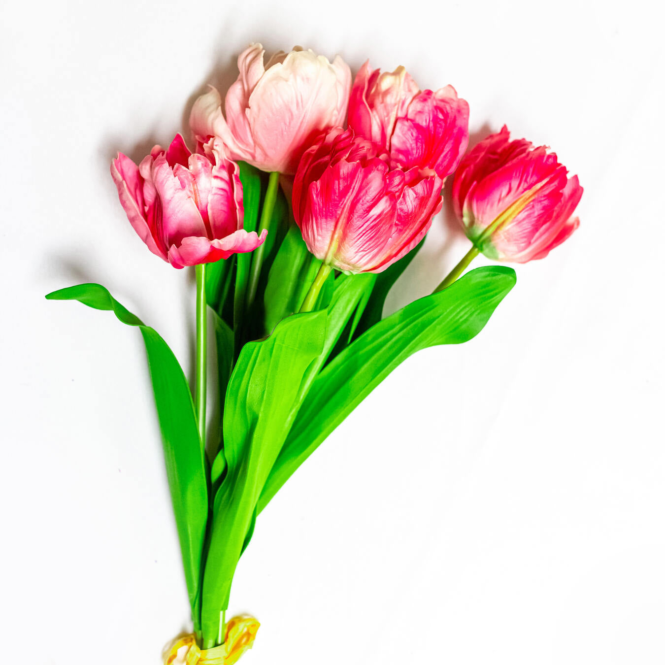 27" Parrot Tulip