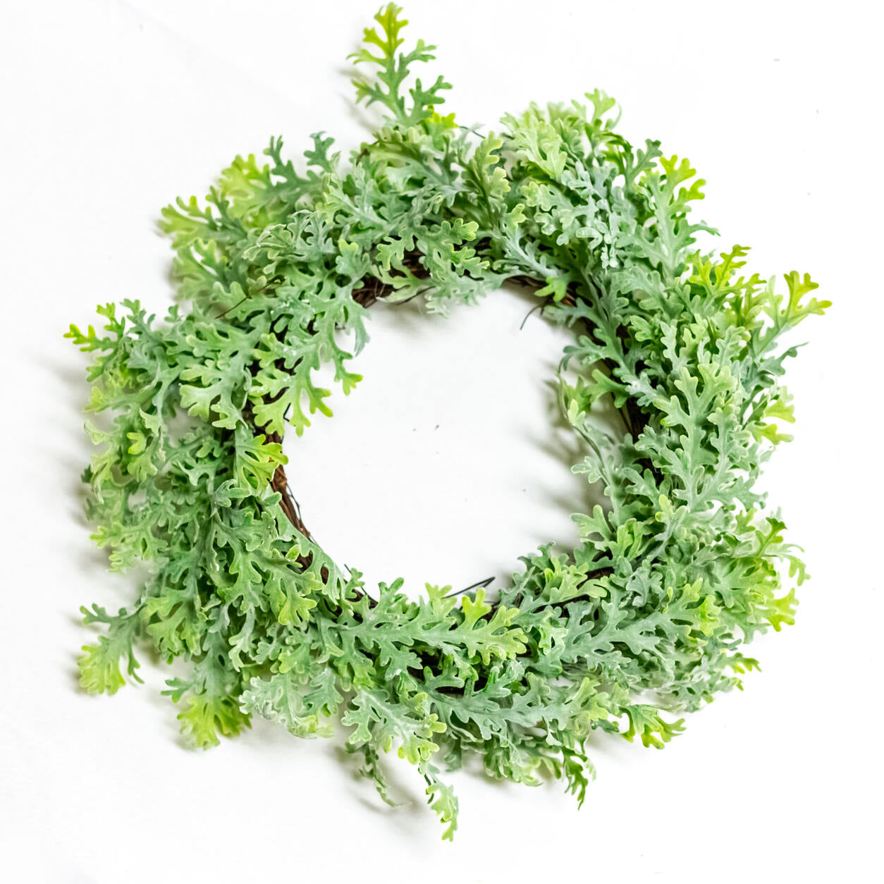 6" Dusty Miller Candle Ring