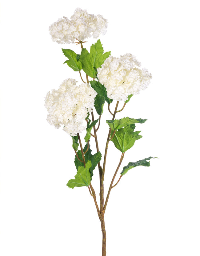 Lg Snowball-Cream