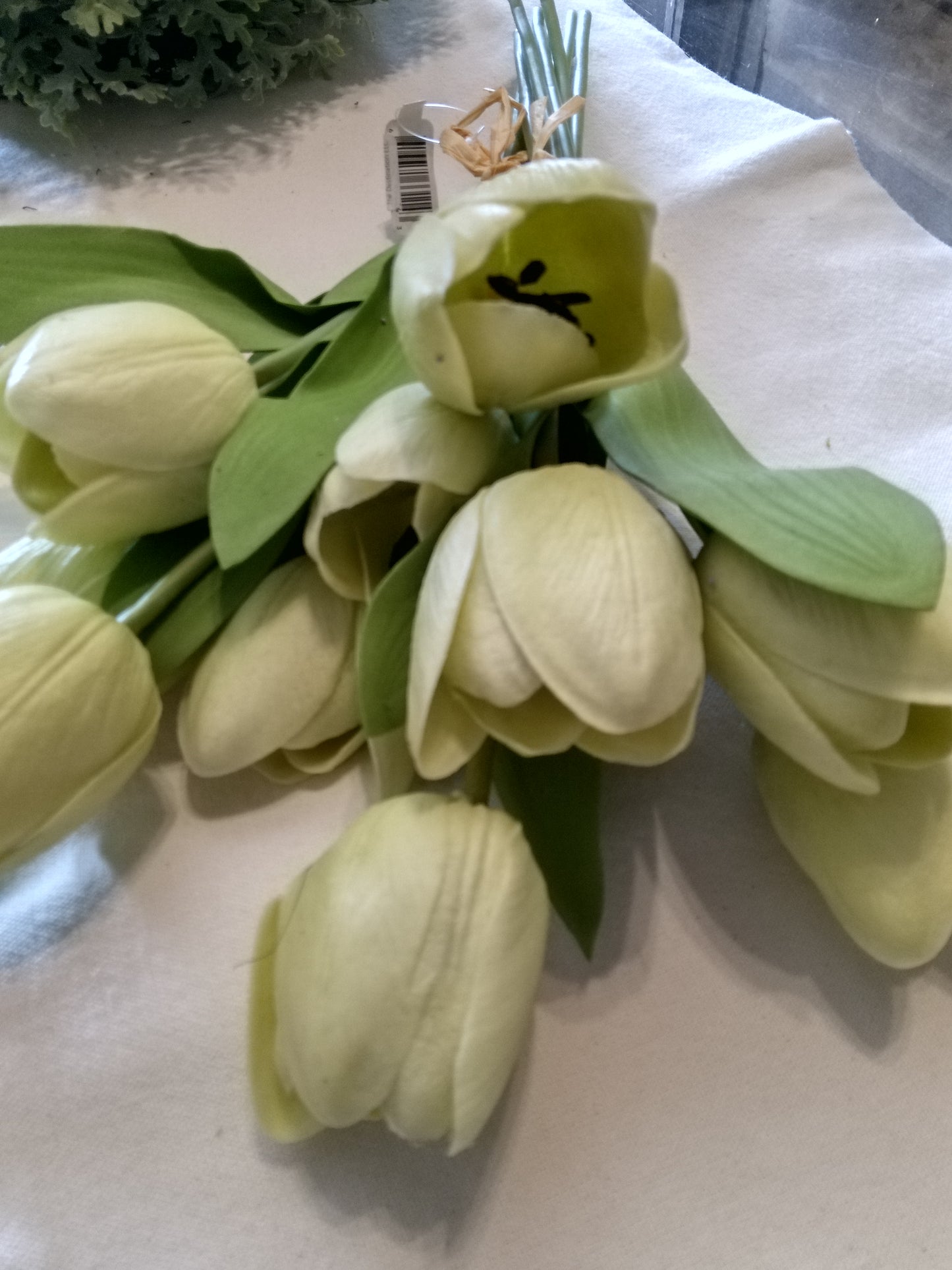 17.5" Tulip Green