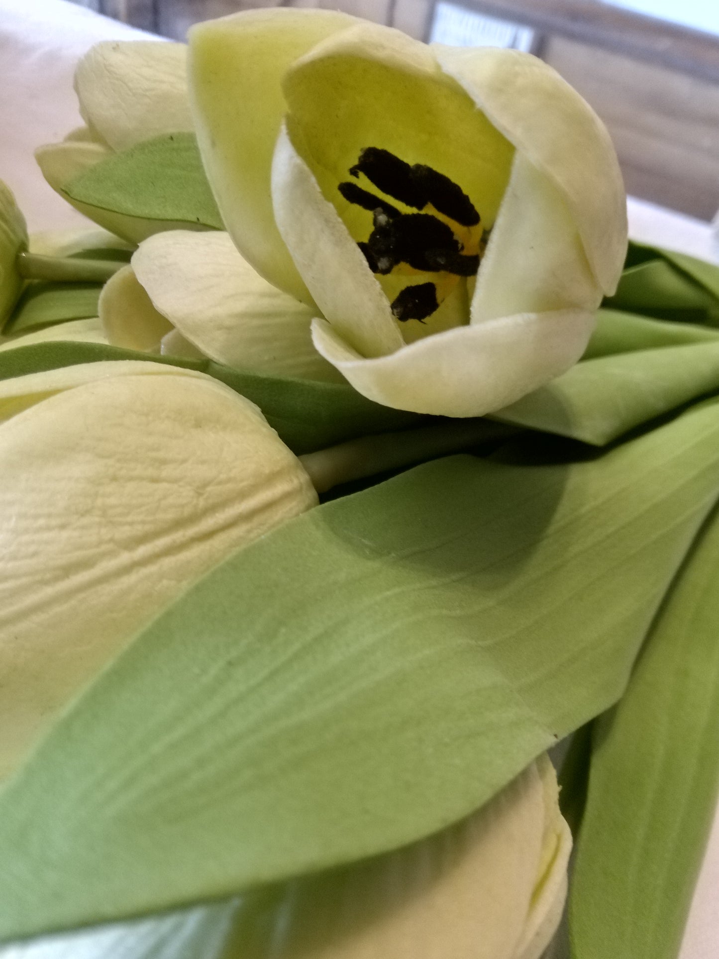 17.5" Tulip Green