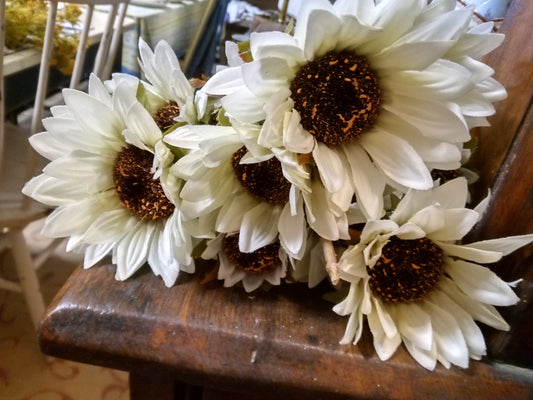 25" Sunflowers - Cream