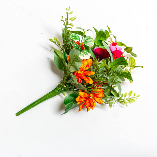 Mix Zinnia BQT